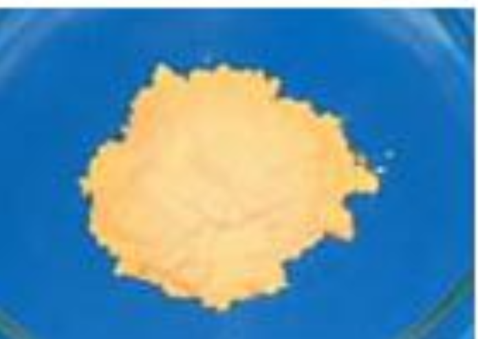 TCY， 三聚硫氰酸、2,4,6-三巯基-1,3,5-均三嗪，TTCA，ZISNET-F