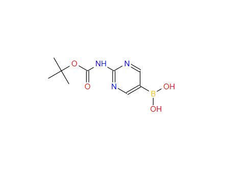 [2-(叔丁氧羰基氨基)嘧啶-5-基]硼酸 883231-25-2
