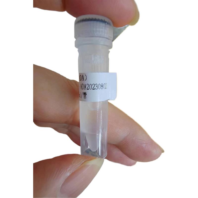 mtw-94659221.jpg mtw-94659221.jpg