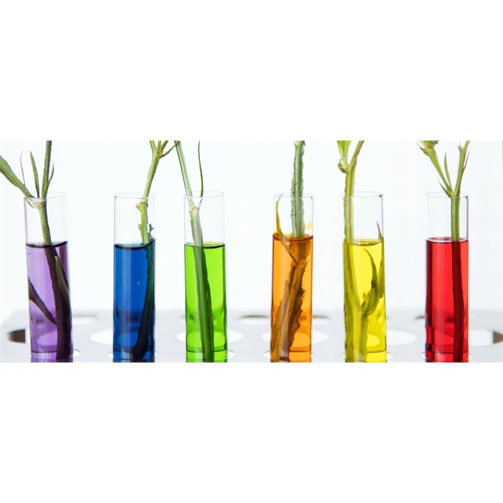 (3R,4R)-N,4-二甲基-1-(苯基甲基)-3-哌啶胺盐酸盐