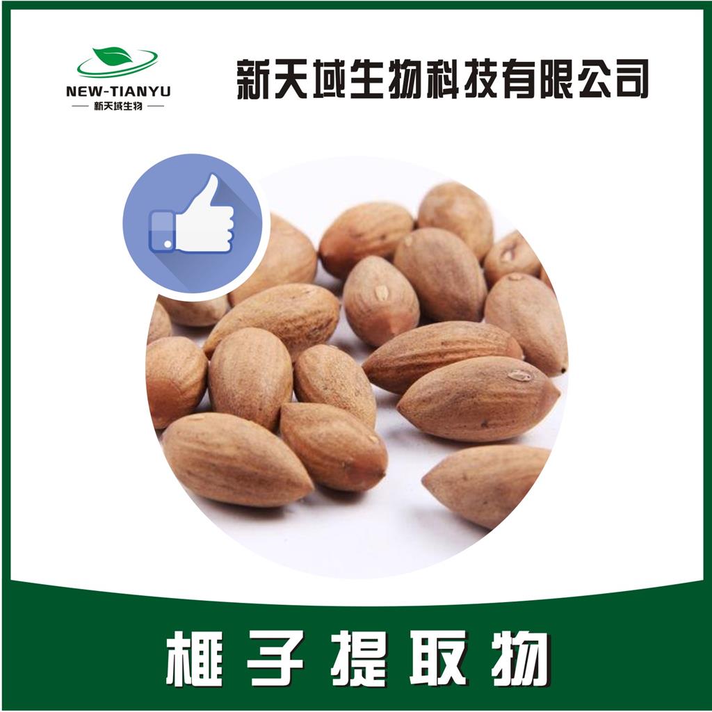 榧子提取物