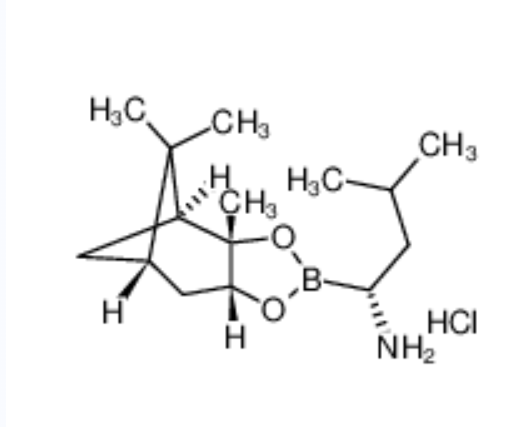 (R)-1-氨基-3-甲基丁基硼酸蒎烷二醇酯盐酸盐	