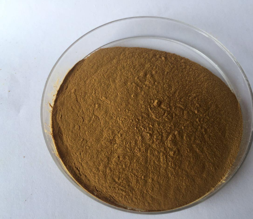 迷迭香酸天然高效抗氧化剂