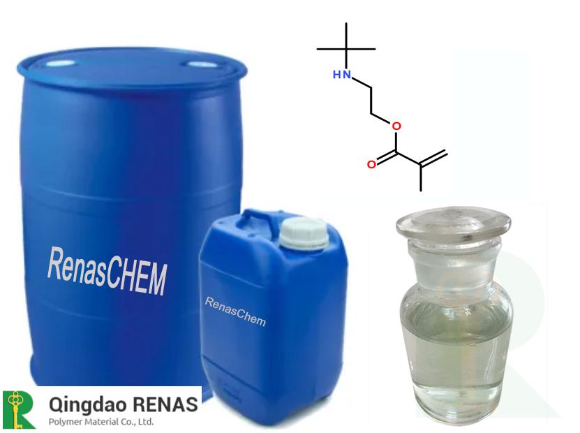 2-(叔丁基氨基)乙基甲基丙烯酸酯 3775-90-4