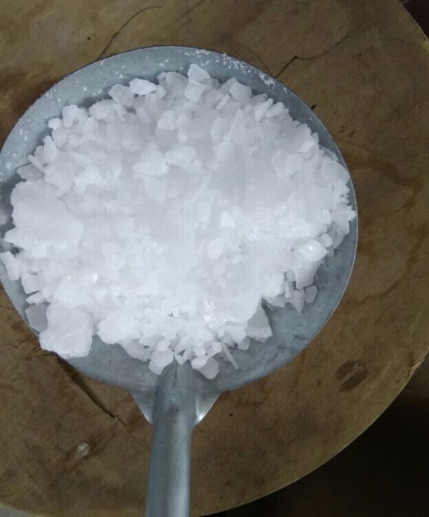 氧化苦参碱原料