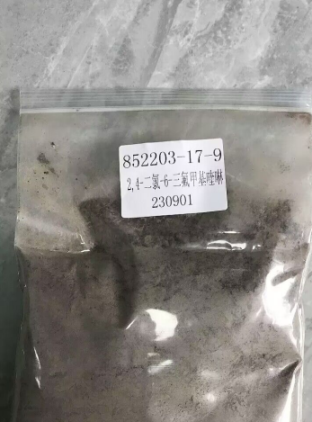 852203-17-9 2,4-二氯-6-三氟甲基喹啉