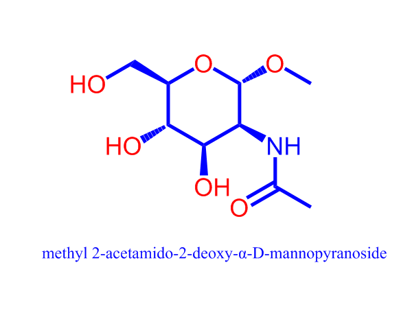 methyl 2-acetamido-2-deoxy-α-D-mannopyranoside