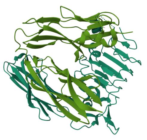 人TRKC蛋白, Tag free