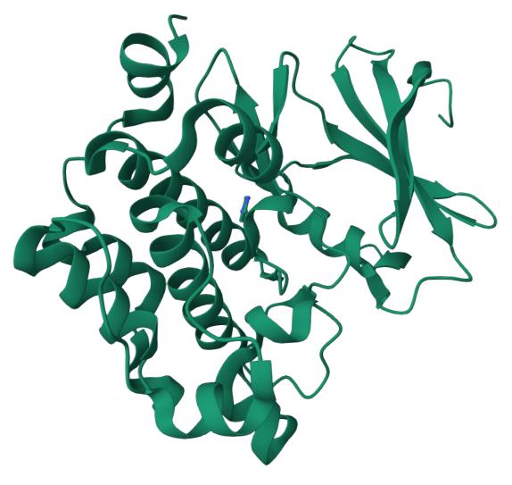 人 PIM1 蛋白, Tag free