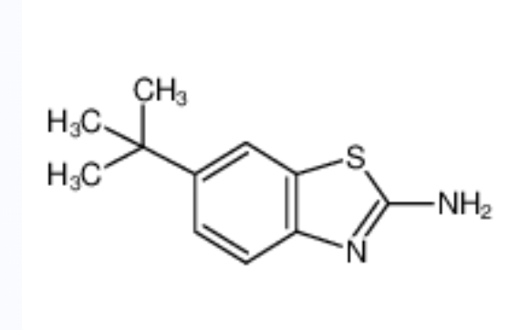 2-氨基-6-叔丁基苯并噻唑	