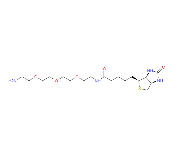 N-生物素-3,6,9-三氧杂十一烷-1,11-二胺 359860-27-8