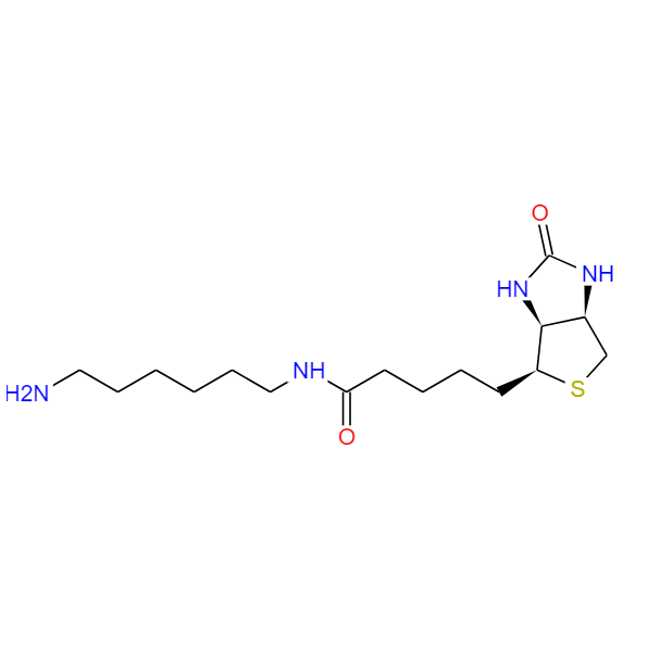 N-生物素基-1,6-己二胺 65953-56-2