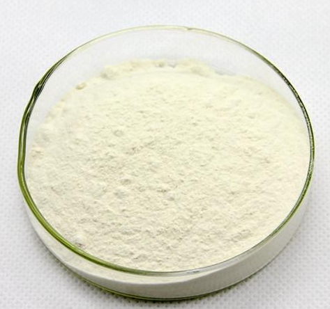 61349-11-9；6,7-二甲氧基-1-(3,4,5-三甲氧基苄基)-3,4-二氢异喹啉