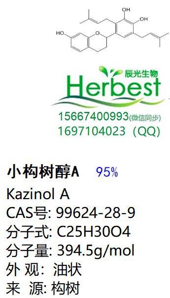 小构树醇A_副本.jpg