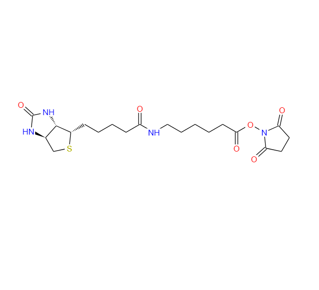生物素化-epsilon-氨基己酸-N-羟基丁二酰亚胺活化酯 72040-63-2