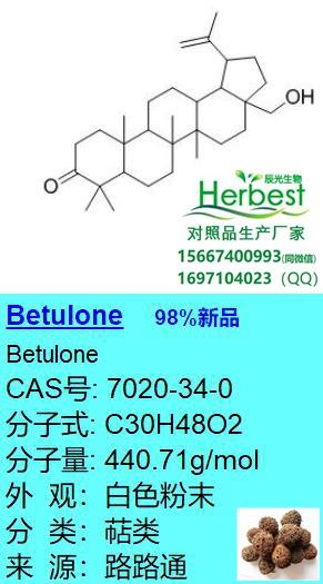 Betulone _副本.jpg