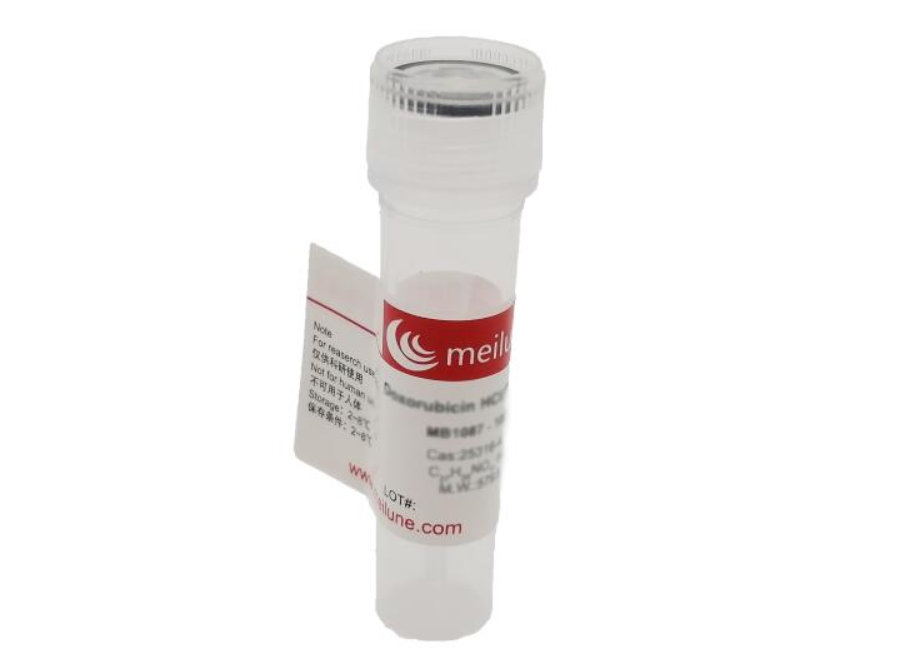 重组人表皮细胞生长因子