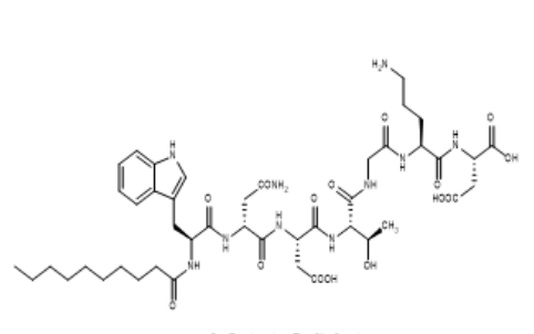 RS-1，达托霉素水解片段