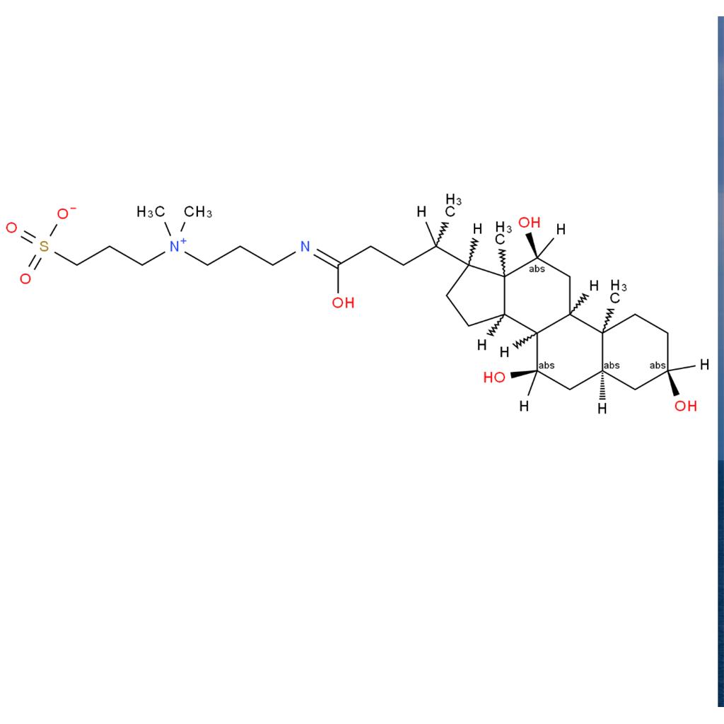 3-[3-(胆酰胺丙基)二甲氨基]丙磺酸内盐