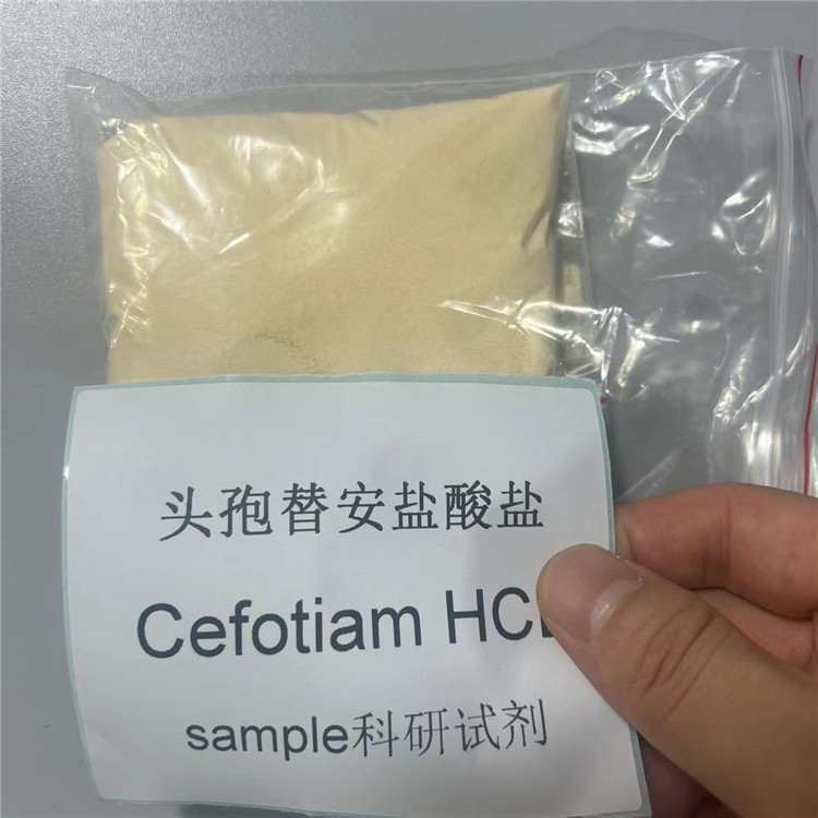 盐酸头孢替安 66309-69-1