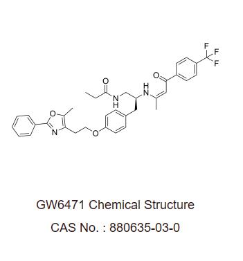 385176b50079265c2535667430e1e72.png 385176b50079265c2535667430e1e72.png