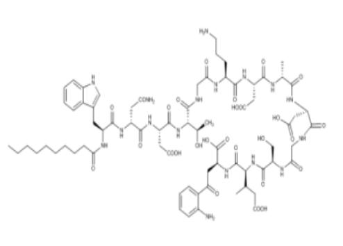达托霉素内酯水解物