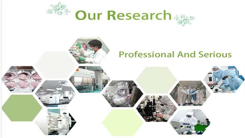 1699526821176.png 1699526821176.png