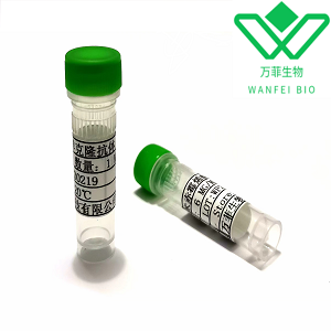 呋喃唑酮代谢物抗体 小鼠抗呋喃唑酮代谢物单克隆抗体 呋喃唑酮代谢物抗原抗体