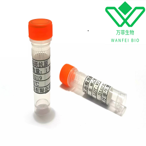 卡那霉素抗体 小鼠抗卡那霉素单克隆抗体 卡那霉素抗原抗体