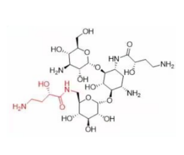 阿米卡星EP杂质F