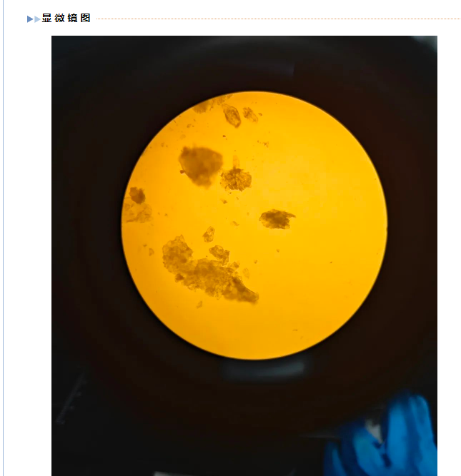 Guineesin  cas：55038-30-7 CANS实验室对照品