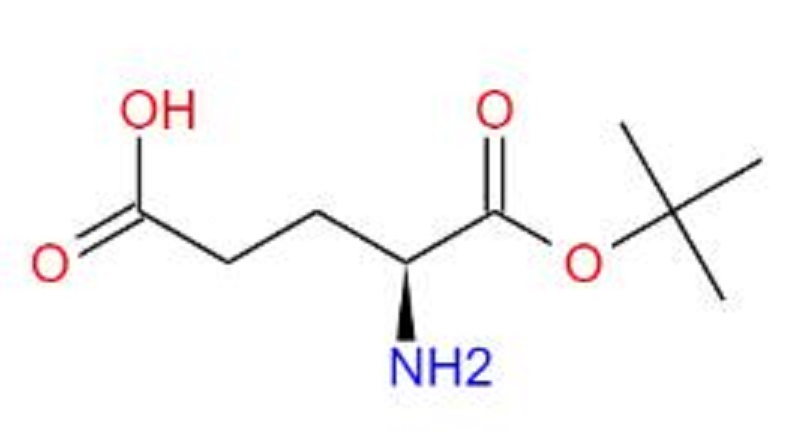 1-叔丁基 L-谷氨酸