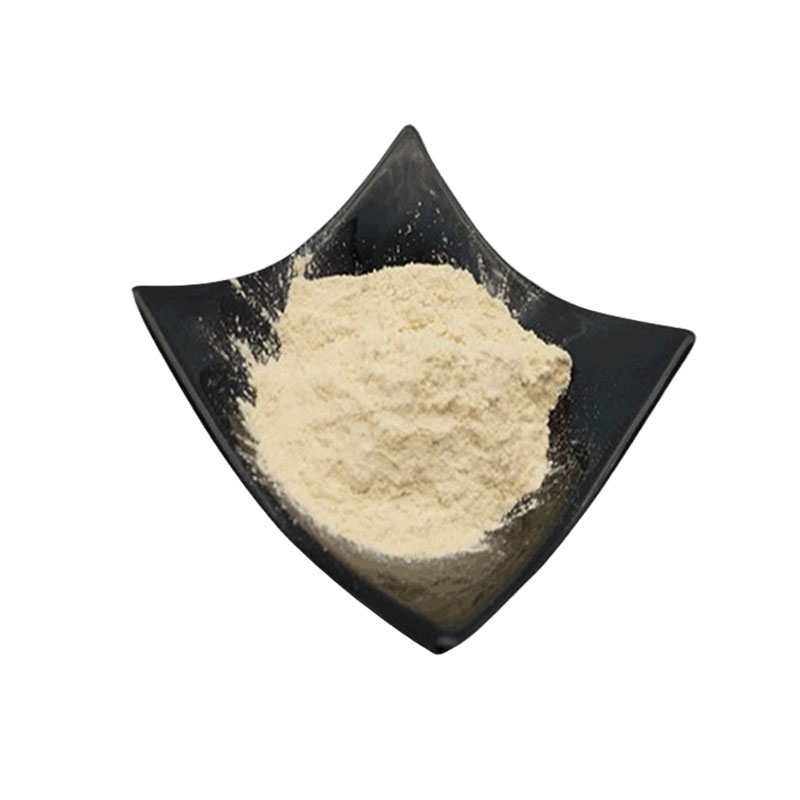 大豆分离蛋白，营养强化剂，生产厂家，9010-10-0