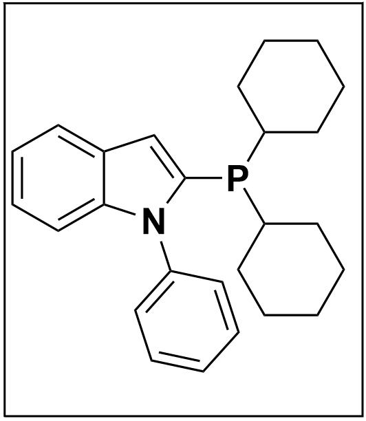 2-(二环己基膦基)-1-苯基吲哚 740815-36-5