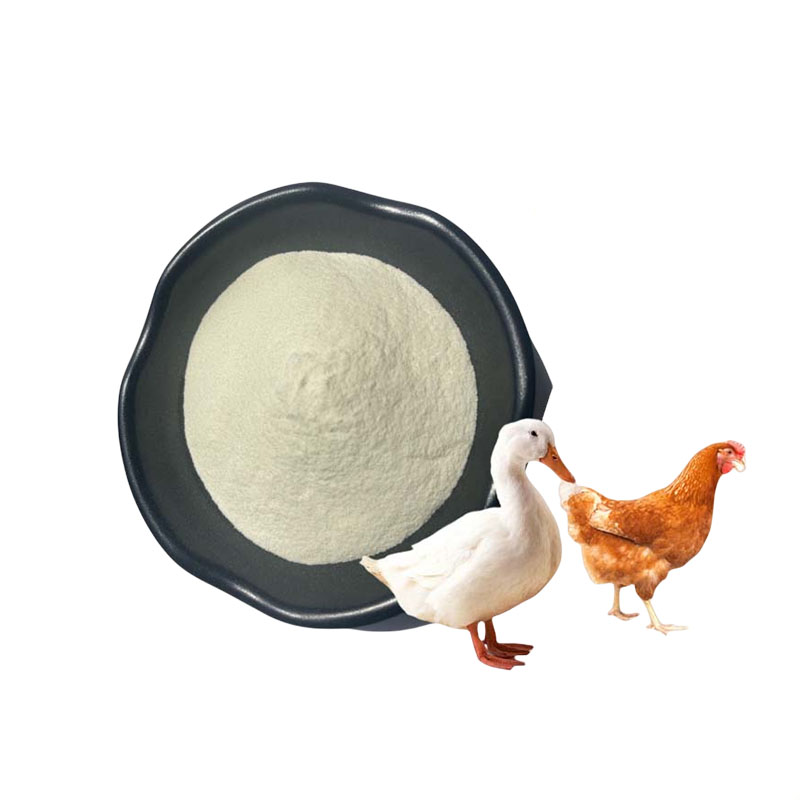 角蛋白酶，酶制剂，高酶活，食品级，营养强化剂