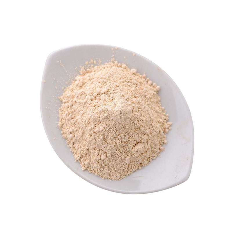 大蒜粉，营养强化剂，生产厂家，64439-81-2