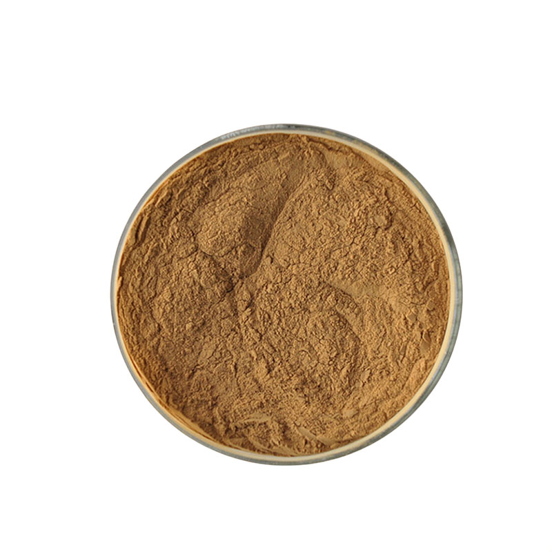 迷迭香提取物，高含量，食品级，CAS NO:84604-14-8