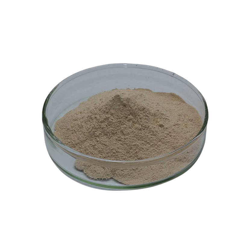 沙雷肽酶，生产厂家，99%高含量，食品级，酶制剂