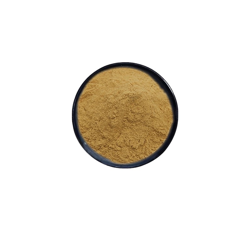 供应紫苏叶提取物 紫苏粉 多种规格  食品级 原料