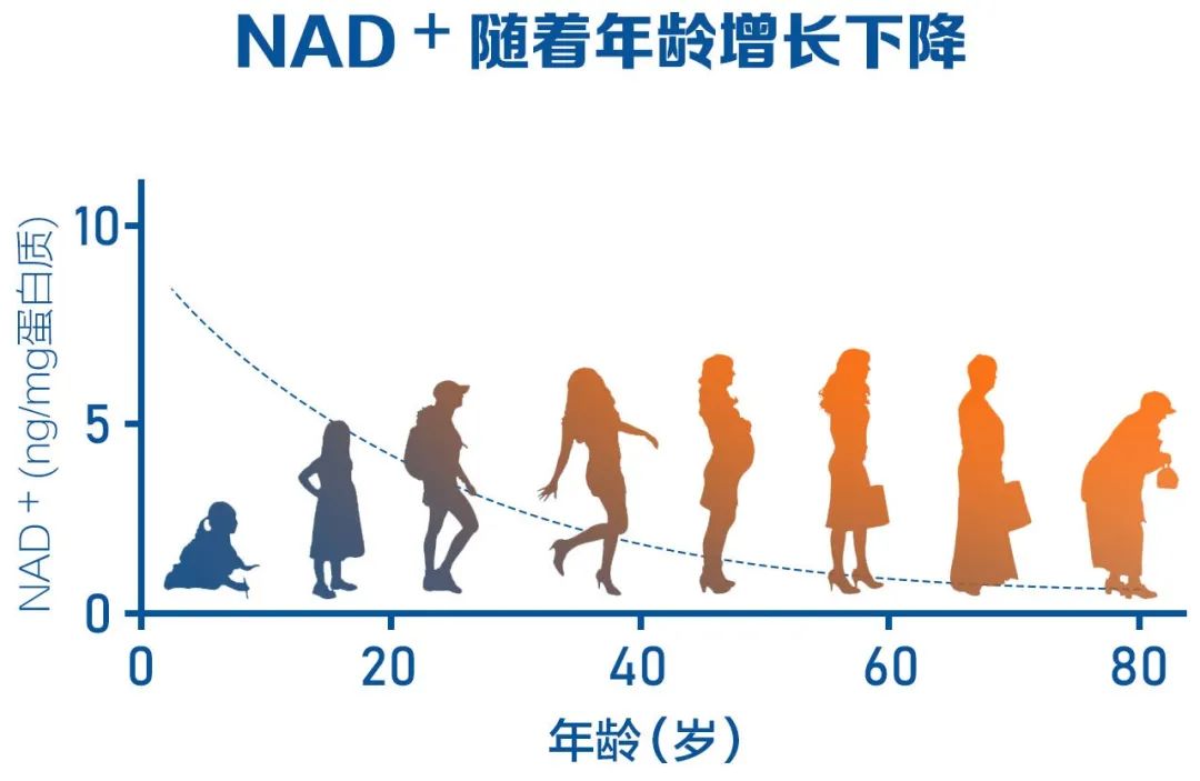 7772627799f9ced5b620bb86aed2191e.jpg 7772627799f9ced5b620bb86aed2191e.jpg