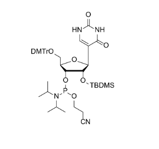 DMTr-2'-O-TBDMS-pseudoU-3'-CE-Phosphoramidite