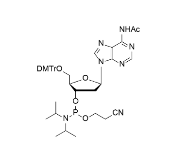 Ac-dA 亚磷酰胺单体