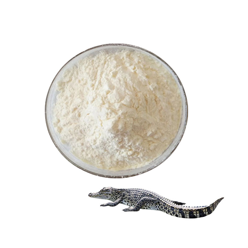 鳄鱼肽 小分子低聚肽鳄鱼多肽活性肽