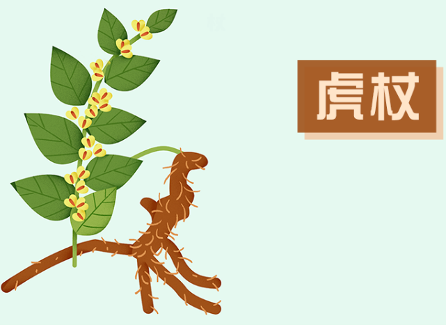 大黄素  虎杖提取物  Emodin 90% 