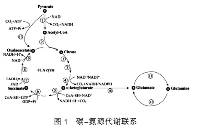 47f60263b21695854bf2782df26e733.png 47f60263b21695854bf2782df26e733.png