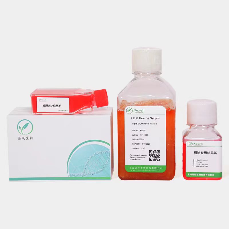 93T449 +LUC人高分化脂肪肉瘤细胞 +LUC