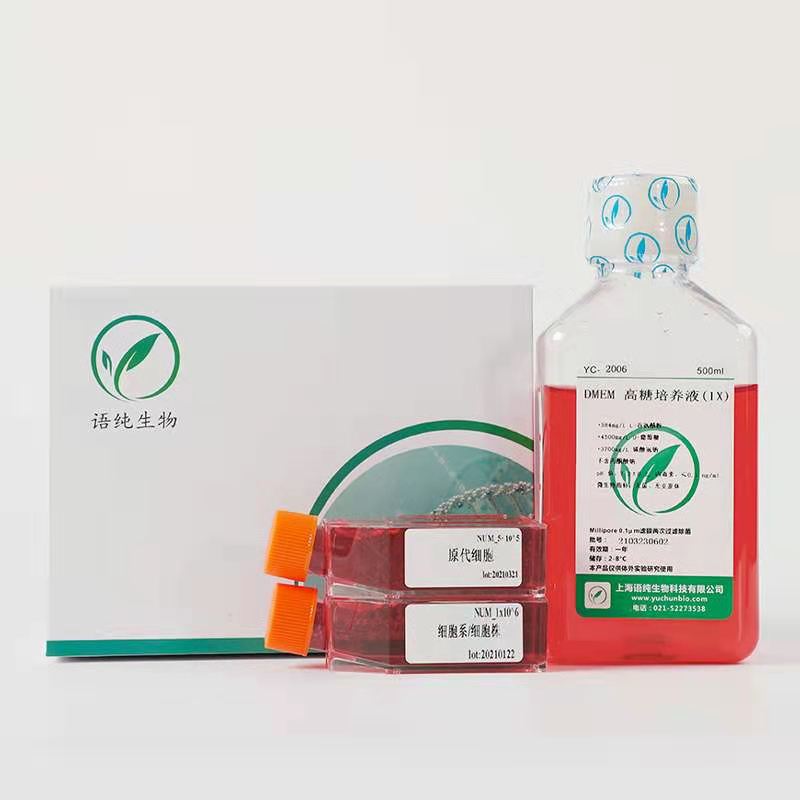 STCRH30 人骨髓横纹肌肉癌细胞