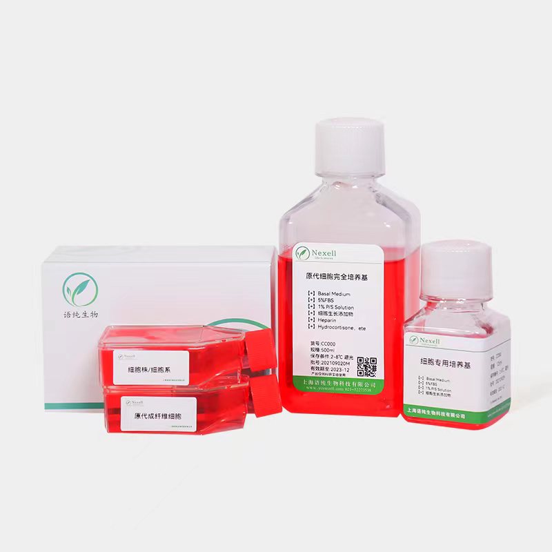 NCI-H647 +LUC +GFP 人肺小细胞癌细胞+GFP