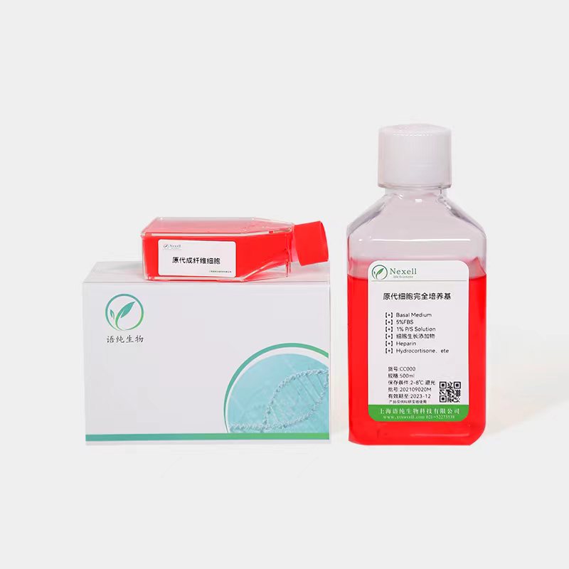 LC-2/AD+LUC+GFP人肺癌腺癌细胞+LUC+GFP