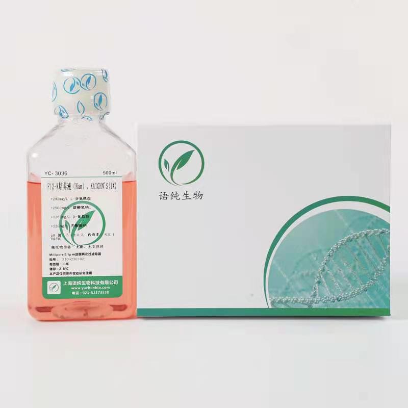 GCIY +LUC+GFP人胃癌细胞 +LUC+GFP